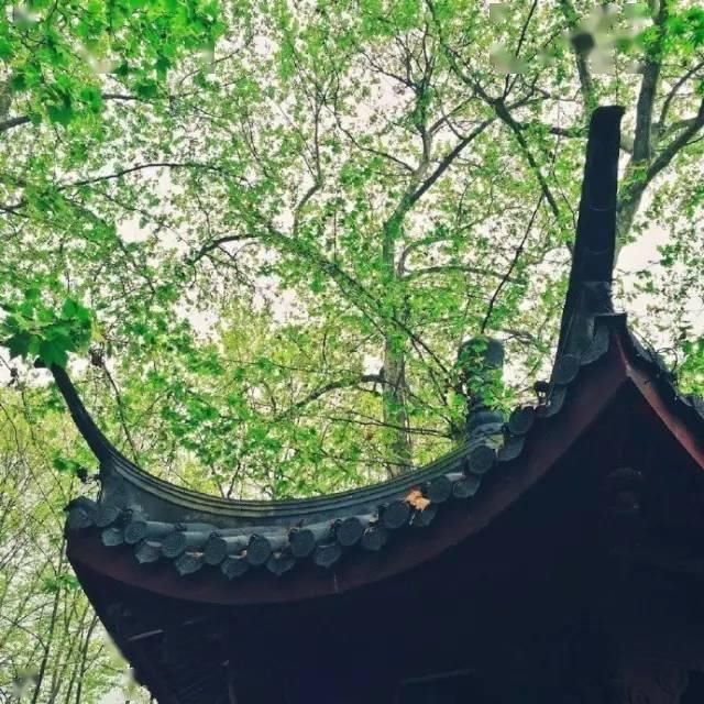  心灵后花园|他是中国历史上最文艺的皇帝，字画双绝，连造的园林都美传千古