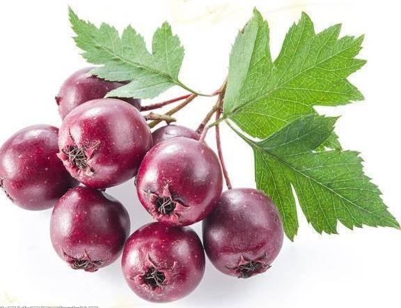 瘦身瘦肚腩最快食物排行榜，每天吃一个月瘦十斤没问题