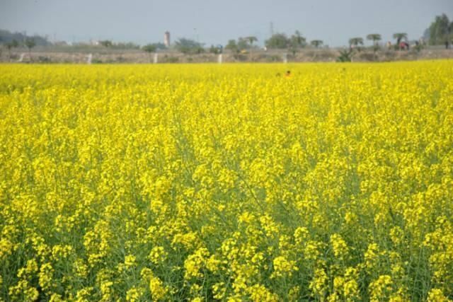  唯一|他，是中国唯一用伟人命名的城市，是中国最适合居住的城市