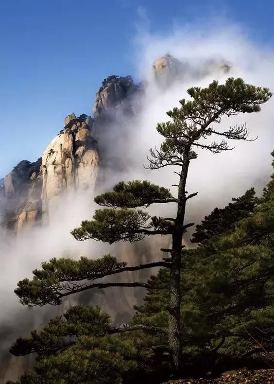 黄山风景美如画！恍如人间仙境，美到极致！