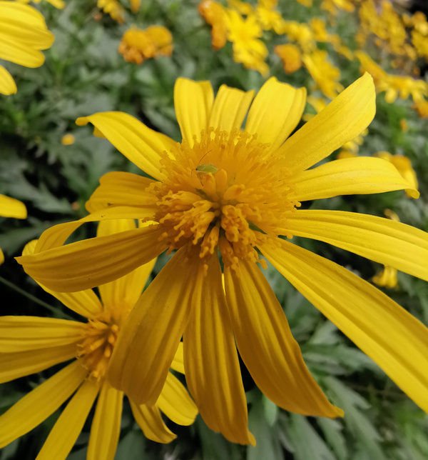 华为Mate 20 Pro上手体验,后置“浴霸三射”带来别样惊喜。