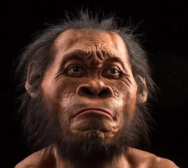 复旦教授:古中国人已灭绝，现代中国人源自非洲，老外犀利评论