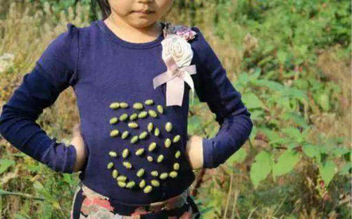 乡下这种满身都是刺的草，居然能治疗鼻炎！鼻炎的特效药！