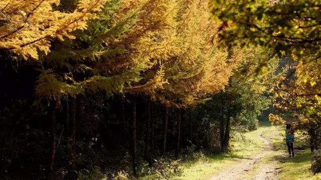 秋日里，山西20处绝美赏秋胜地美的像仙境