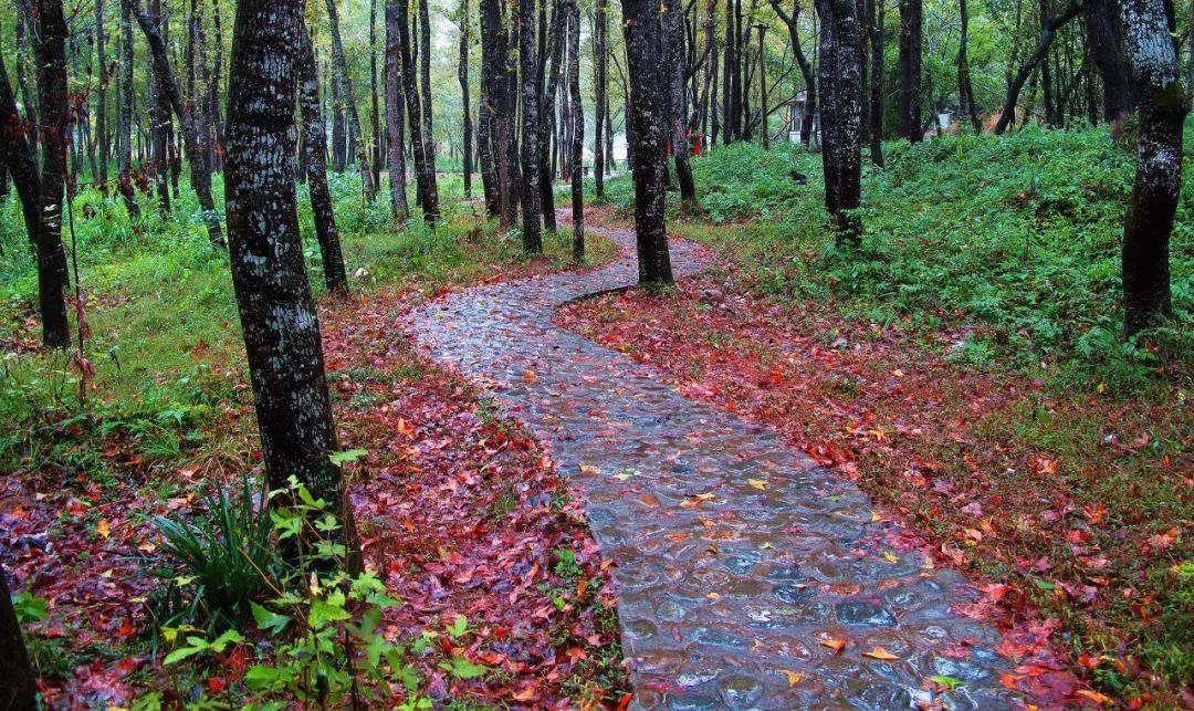 10个藏在深山人不知的古村落，却是世外桃源