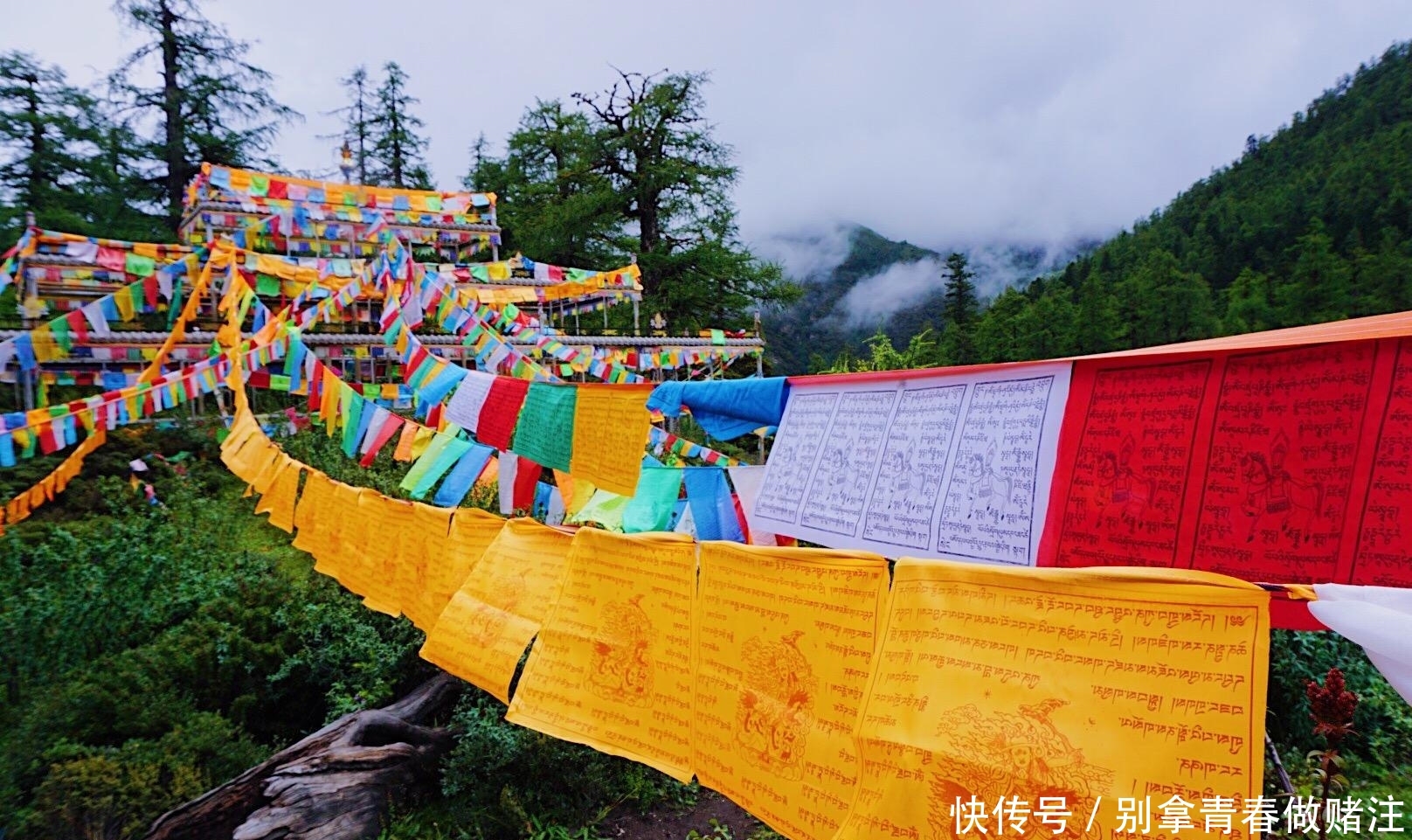 门票270，稻城亚丁要不要去，希望你看完这篇再决定