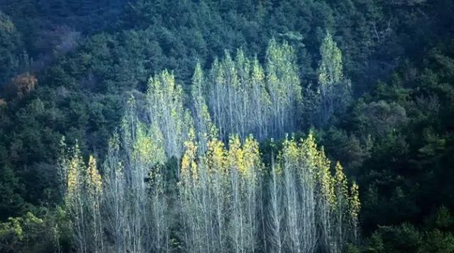 秋日里，山西20处绝美赏秋胜地美的像仙境