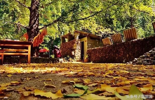 有一种心情，叫做突然想去云南！