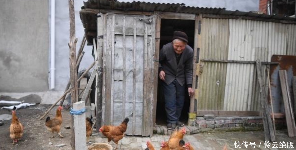  #儿子#农村留守老人养鸡“秘籍”，比打工的儿子还赚得多