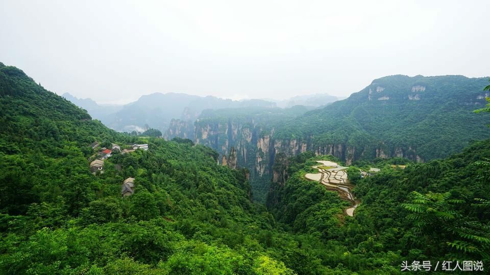 世界上最险的一块“空中稻田”:位于万丈高峰顶上，就在中国