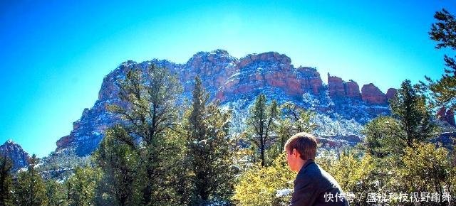 中国2棵最“娇贵”古树，24小时有人“伺候”，浙江1棵安徽1棵