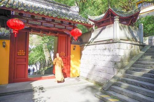 这里遍地都是硅化木化石，还有满坡的恐龙蛋却没有人去挖