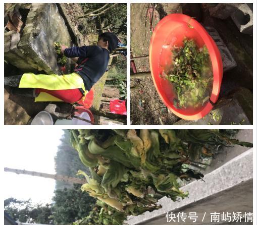 『收获』春天一边耕种 一边收获