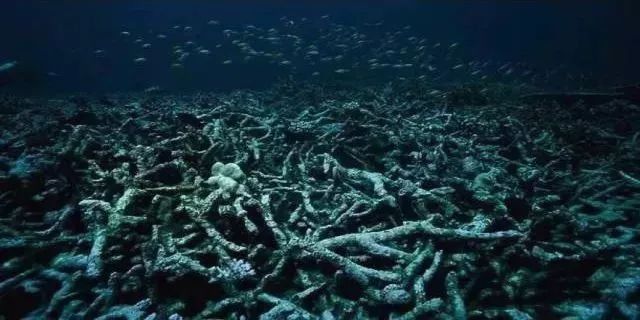 如果没有抹它，所有顶级抗衰老产品都打折