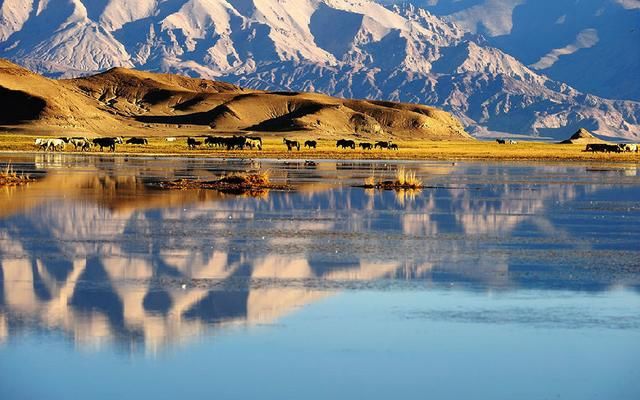 比川藏线美10倍，人迹罕至，这才是最终极的自驾天路