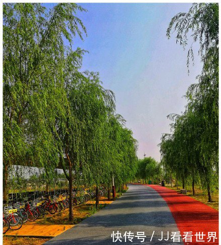 咸阳的“马尔代夫”最终还是没能扛住这场洪水,沙滩湖水都没有了