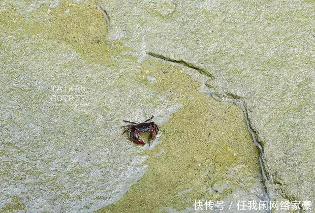 玩不腻的台湾  从美食展到小众景点漫游！千万不能错过！