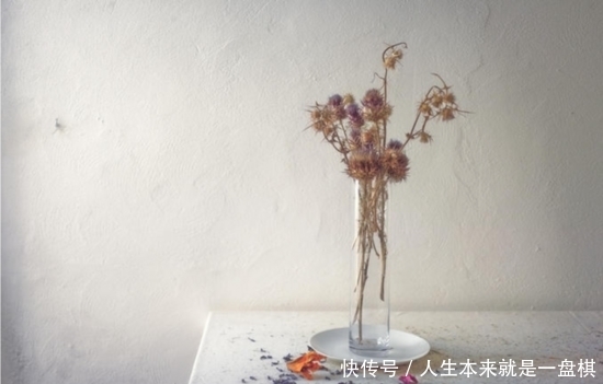 摄影师向美术致敬:静物唯美 而不做作