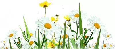 3月云南，这里最值得去！