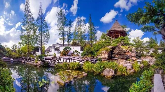 国内最大的专类盆景园，江南园林海派风格美不胜收