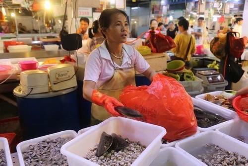 和萌宝的幸福三亚之行