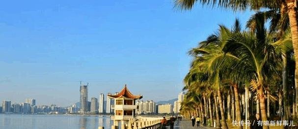 广东为什么不大力发展珠海和中山