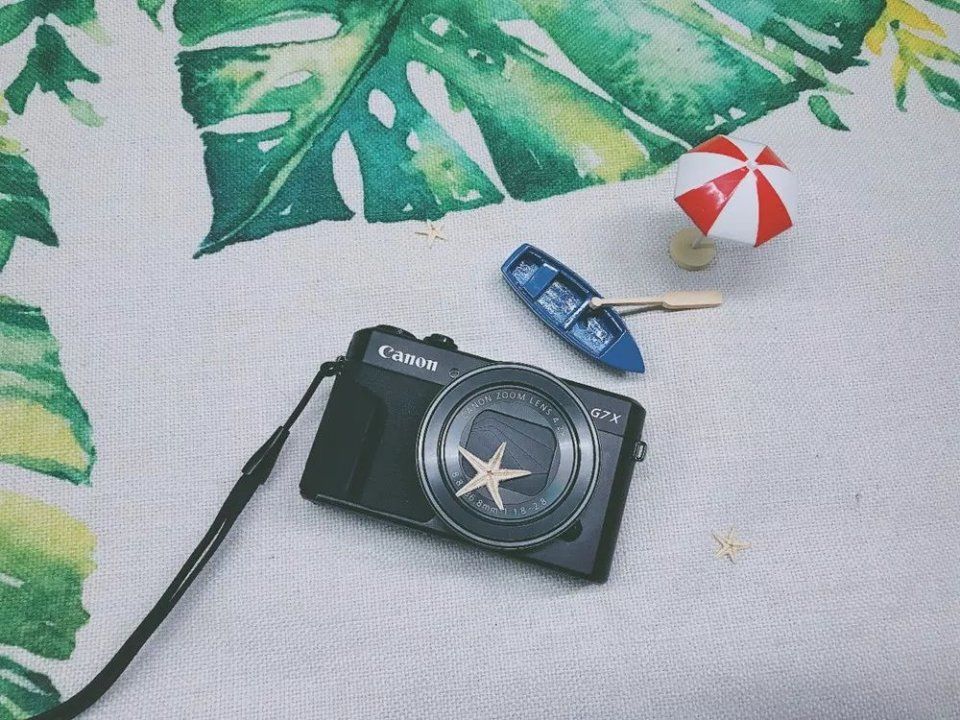 海边如何拍出高获赞游客照 最后一点正好需要