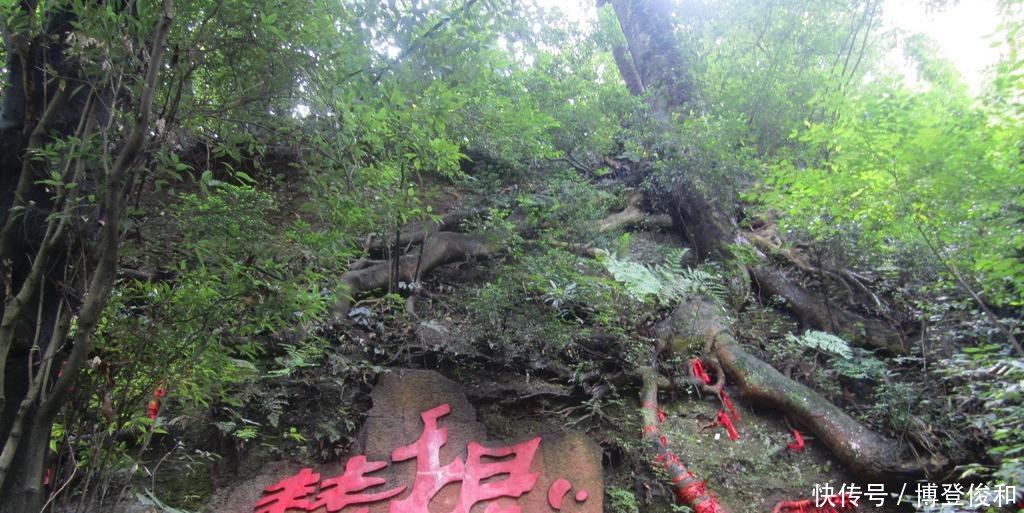 中国9大道教名山, 洞天福地仙居圣境