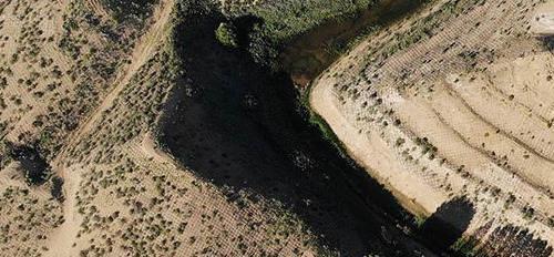 日本人花14年跑到中国治理沙漠,游客发现了背后的意图！