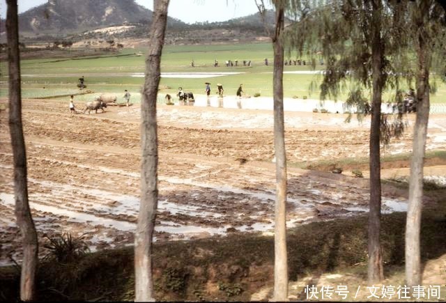 老外眼中80年代的中国农村，第三张大家都非常熟悉，现在还很普遍