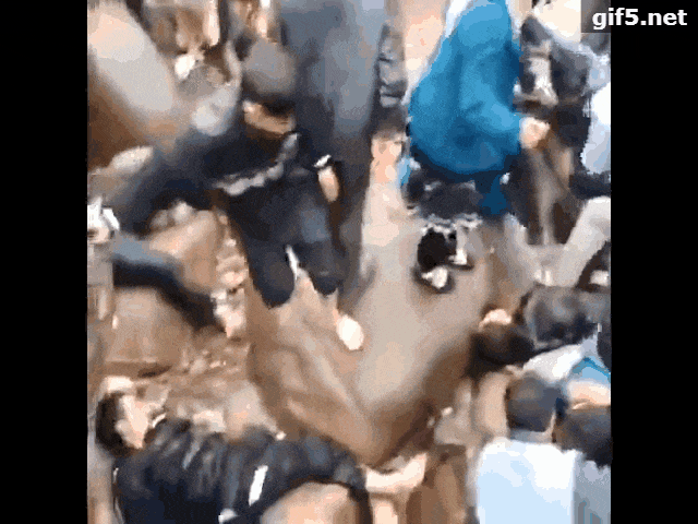 2018年8月份谣言总汇，谣言不止，辟谣不歇！