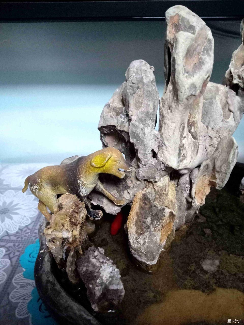 小山水盆景里的大千世界