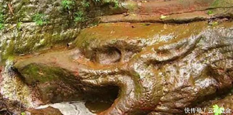 一山洞藏着“真龙”,村民不敢靠近龙洞,专业人来后蒙了