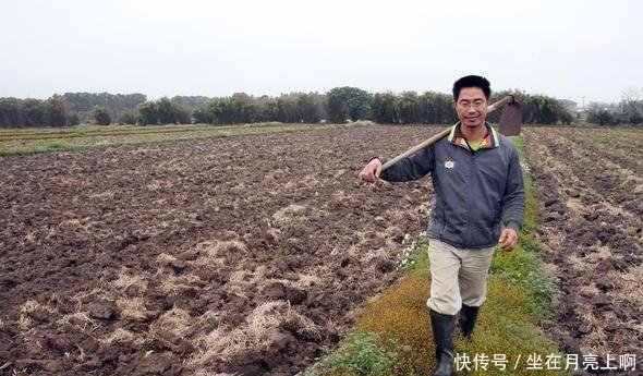 今年,农村的厕所改革将会继续,老年人补贴标准将提高！