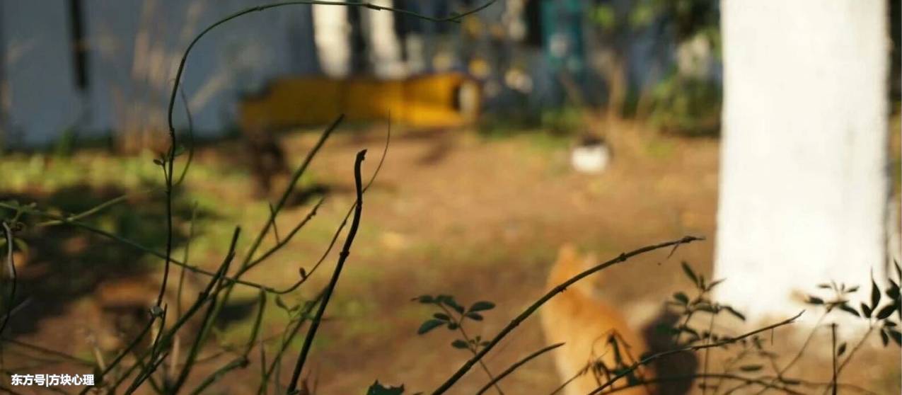 心理小知识:小孩心理健康的10个禁忌以及5个重