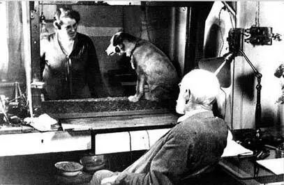 他揭开了迷信的心理机制，却无法破除自己被传虐童的谣言迷信