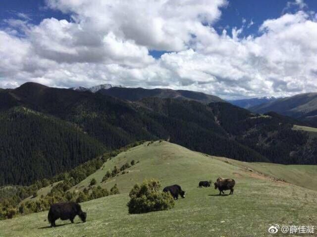 薛佳凝微博晒照疑似回应与胡歌复合传闻，蓝天绿草下少女味十足