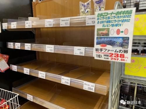  侵袭|水被抢光，交通瘫痪，今年第19号台风侵袭东京