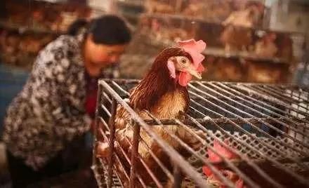 9月朋友圈五大“谣言”,第一个就害人不浅!