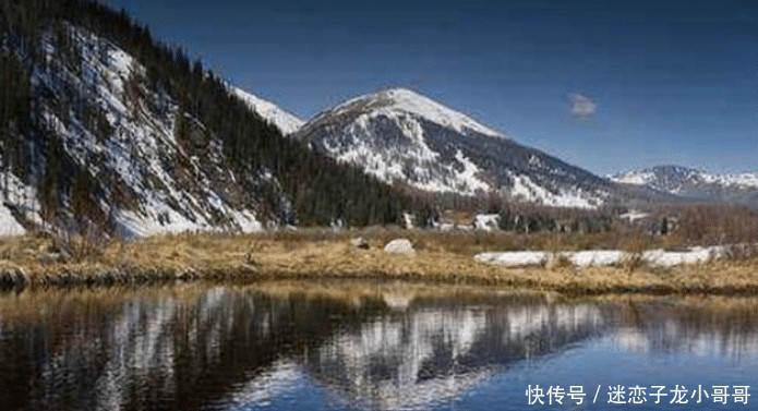 欧洲河狸入侵阿尔泰山?将树木吃成“沙漏状”,还是我国保护动物