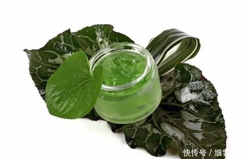 做好防晒:芦荟胶美白吗 请不要再被误导了