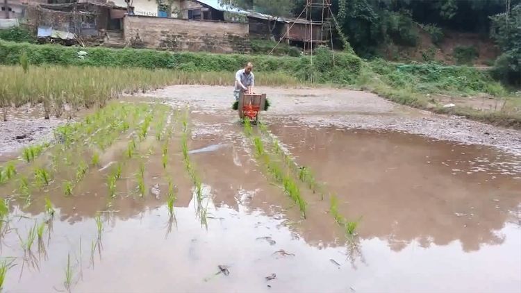  民间|民间牛人发明“手摇式”插秧机，不用油不用电，200元造一