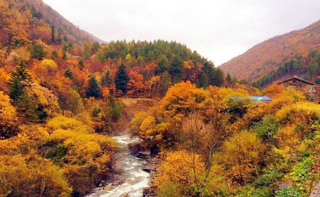 （建议收藏）私藏的红叶地，还不去看看？