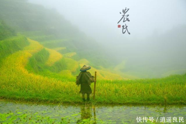  [农民]今年起，农民土地被征收，补偿标准“取消上限”，意味着