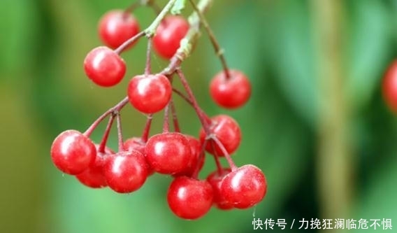 「气质」长得非常迷人的3个生肖女,五官精致气质优雅,人到中年依然美丽