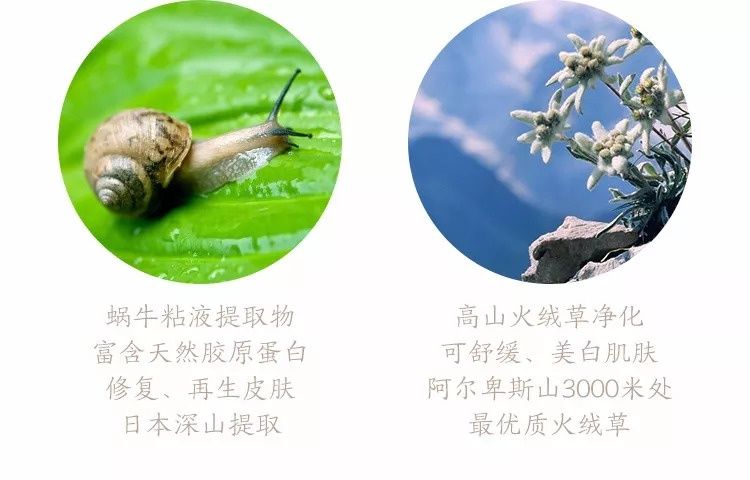 20+的你败给了51岁的周慧敏?这款一抹磨皮神器让你回到18岁。