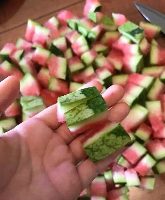  「花肥」吃完西瓜皮就扔？可惜它被制成了肥水，栀子花和茉莉花！