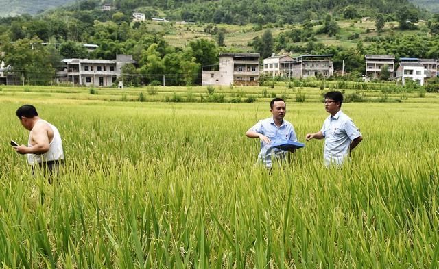 10年后，大批农民不愿种地该怎么办？这2种情况你该看看