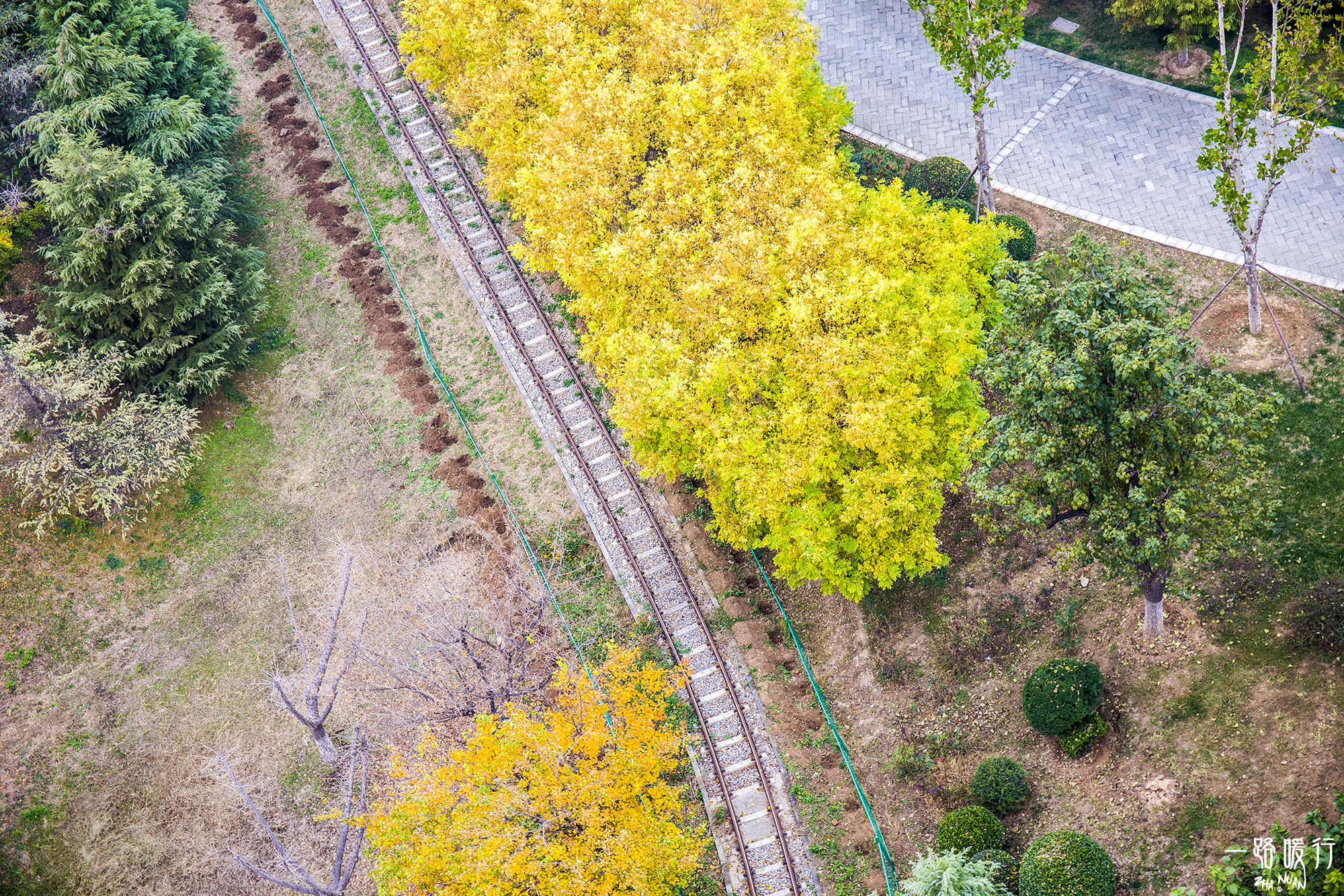 东营丨走过沧海桑田,终是在芦花飞雪的秋日遇见你