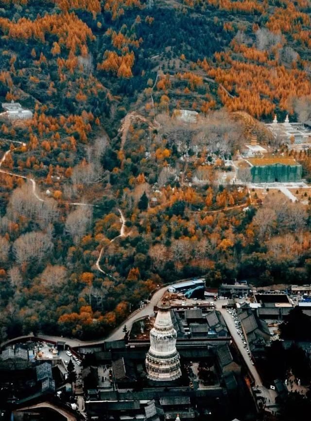 五台山为什么会成为五大佛教圣地之一